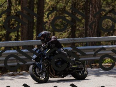 202508171303-_04A3816_c3