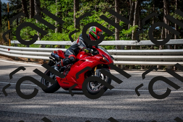 202508231005-DSC_6274_c2