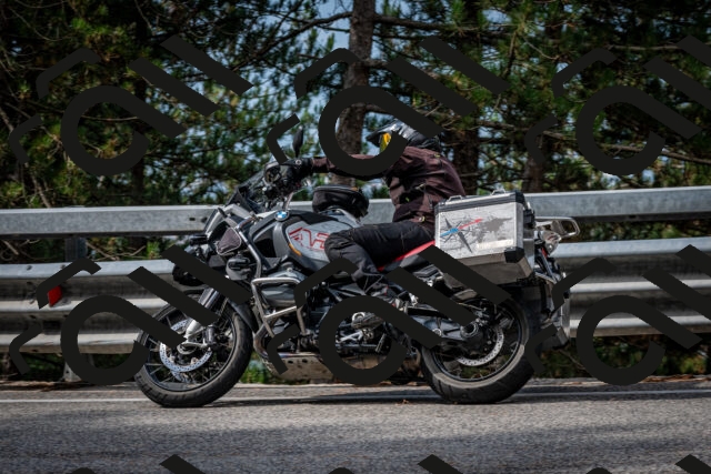 202508231011-DSC_6282_c2