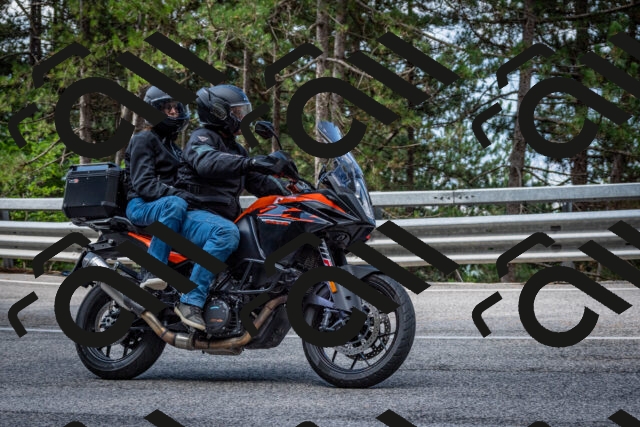 202508231016-DSC_6290_c2