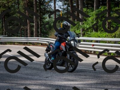 202508231017-DSC_6292_c2