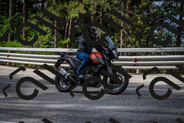 202508231017-DSC_6293_c2