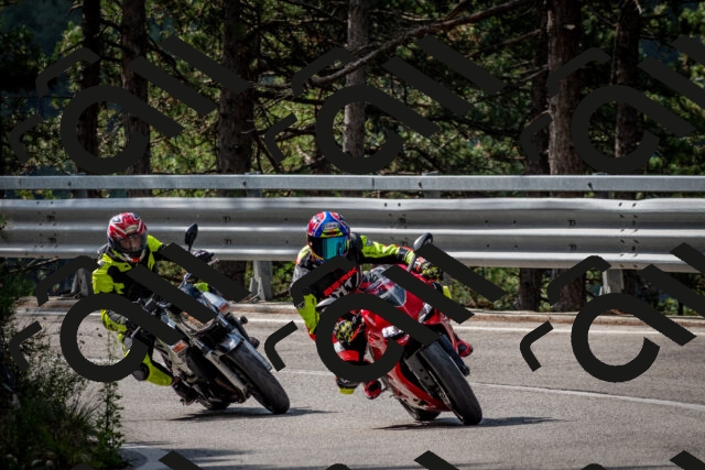 202508231018-DSC_6296_c2