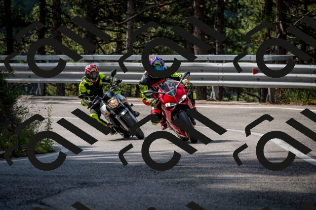 202508231018-DSC_6297_c2