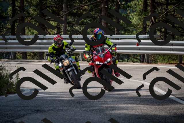 202508231018-DSC_6298_c2