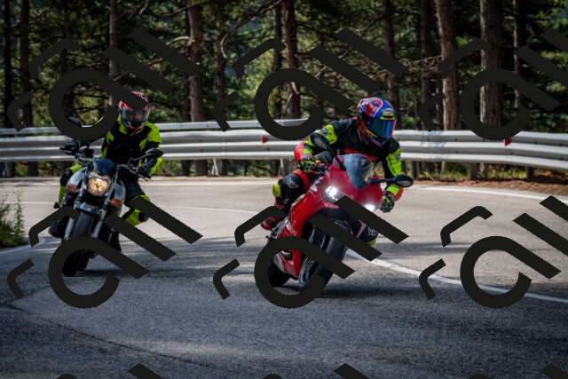 202508231018-DSC_6300_c2