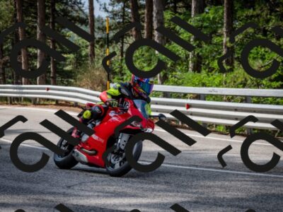 202508231018-DSC_6301_c2