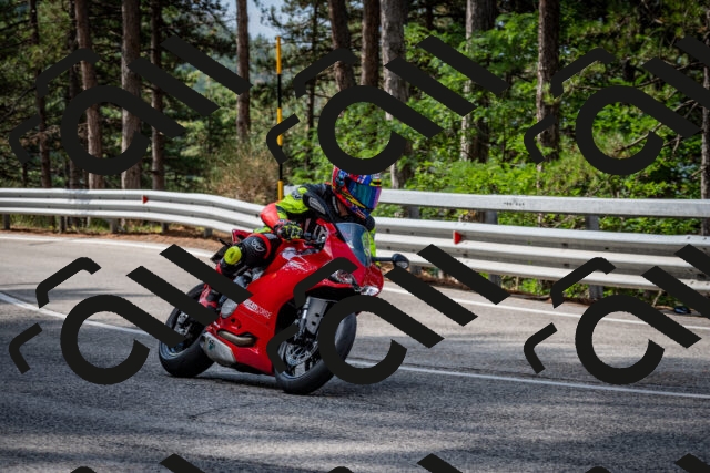 202508231018-DSC_6301_c2