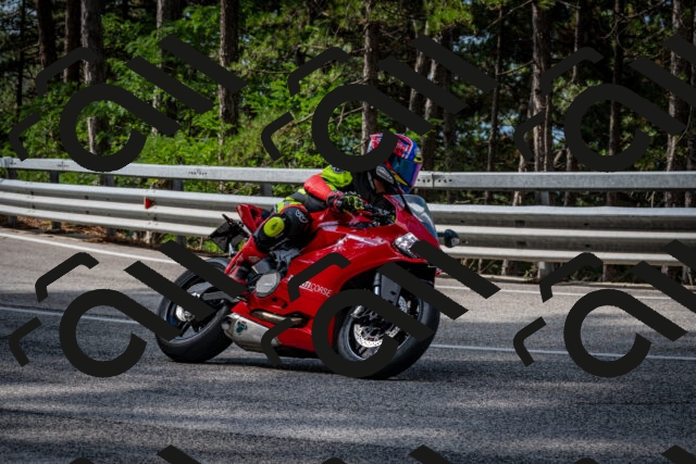 202508231018-DSC_6302_c2