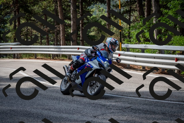 202508231018-DSC_6307_c2