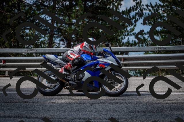 202508231018-DSC_6308_c2