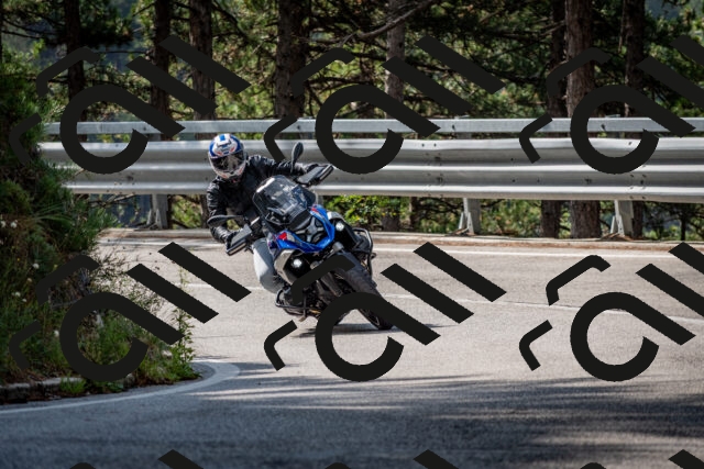 202508231019-DSC_6309_c2