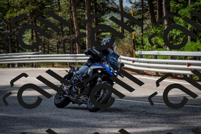 202508231019-DSC_6310_c2