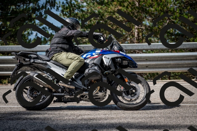 202508231019-DSC_6314_c2