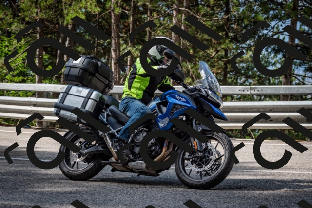 202508231020-DSC_6317_c2