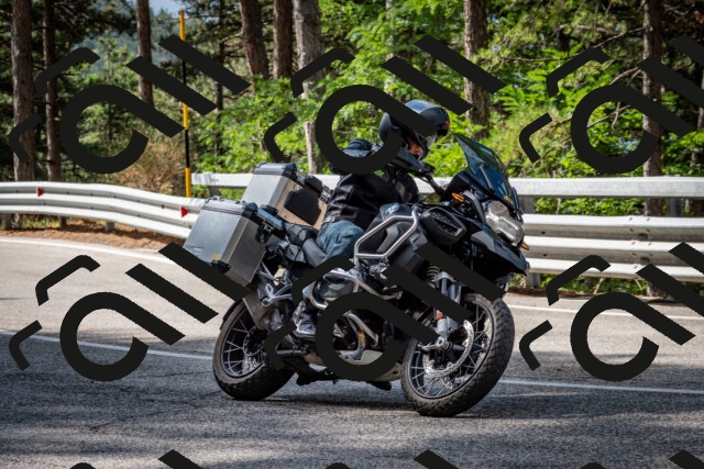 202508231020-DSC_6321_c2