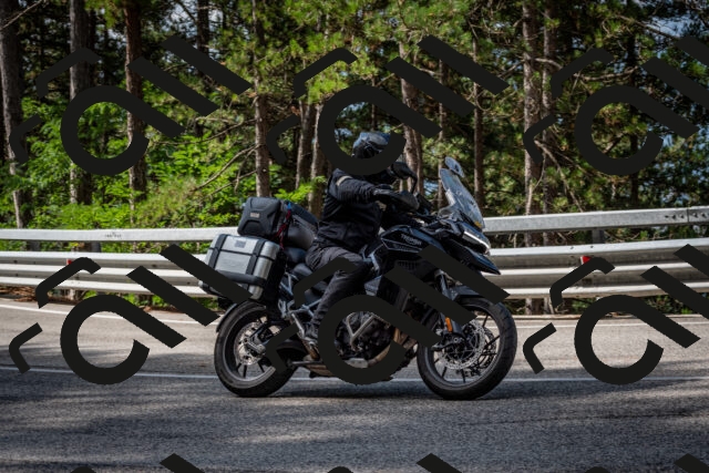 202508231021-DSC_6331_c2