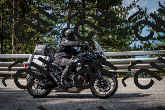 202508231021-DSC_6332_c2