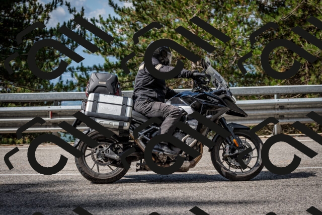 202508231021-DSC_6333_c2