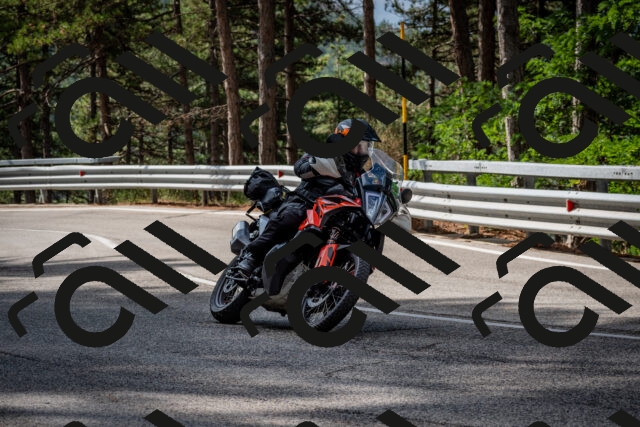 202508231022-DSC_6335_c2