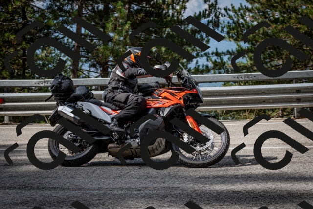 202508231022-DSC_6336_c2