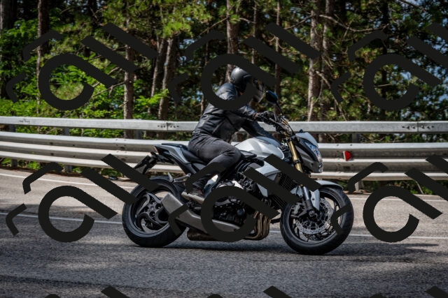 202508231023-DSC_6338_c2