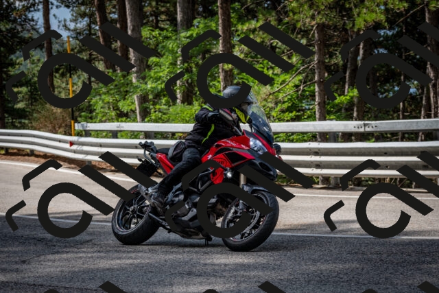 202508231026-DSC_6345_c2