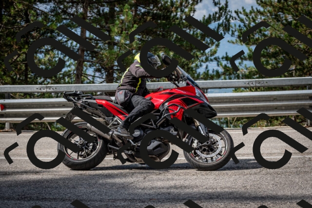 202508231026-DSC_6346_c2