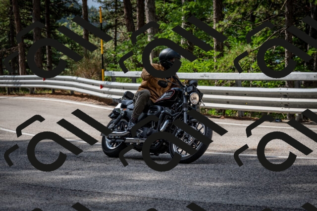 202508231031-DSC_6351_c2