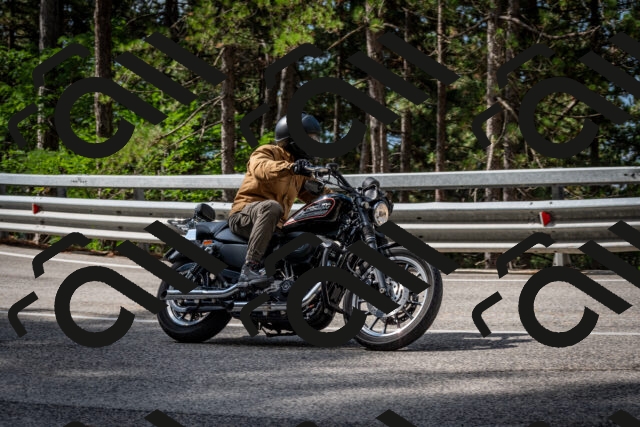 202508231031-DSC_6352_c2