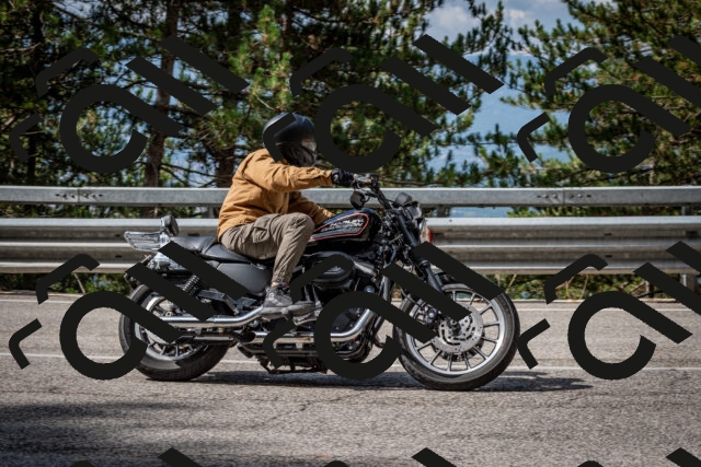 202508231031-DSC_6353_c2