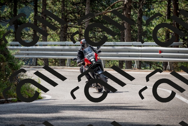 202508231032-DSC_6354_c2