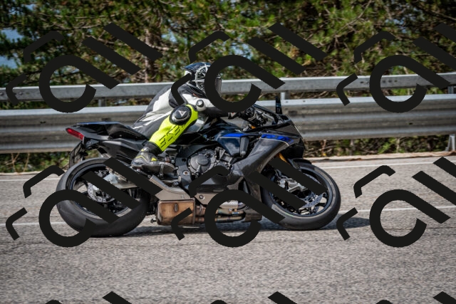 202508231039-DSC_6363_c2