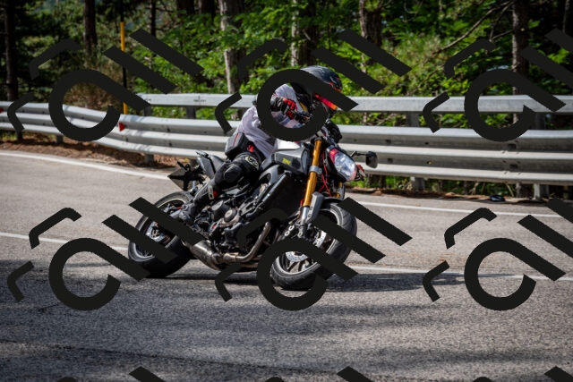 202508231039-DSC_6364_c2