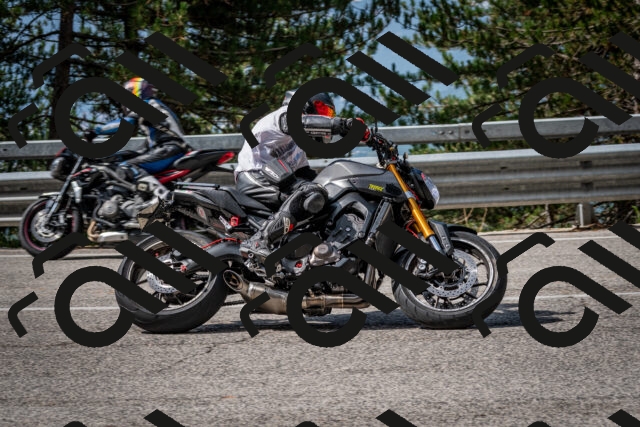 202508231039-DSC_6366_c2