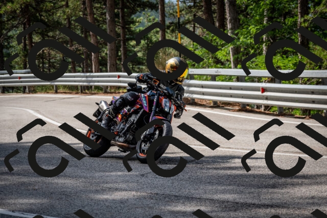 202508231040-DSC_6370_c2