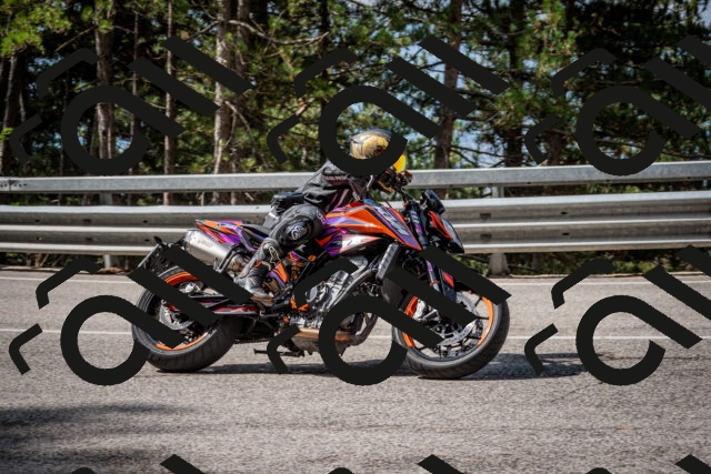 202508231040-DSC_6372_c2