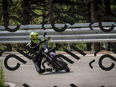 202508231040-DSC_6374_c2