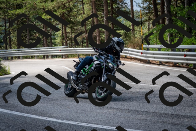 202508231041-DSC_6378_c2