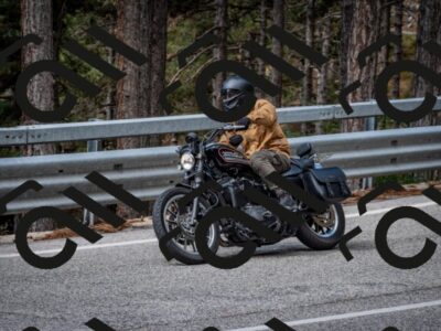 202508231042-DSC_6387_c2