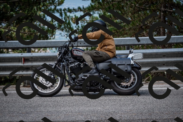 202508231042-DSC_6388_c2