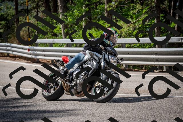 202508231045-DSC_6399_c2