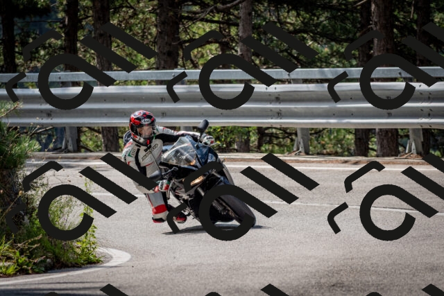 202508231046-DSC_6403_c2