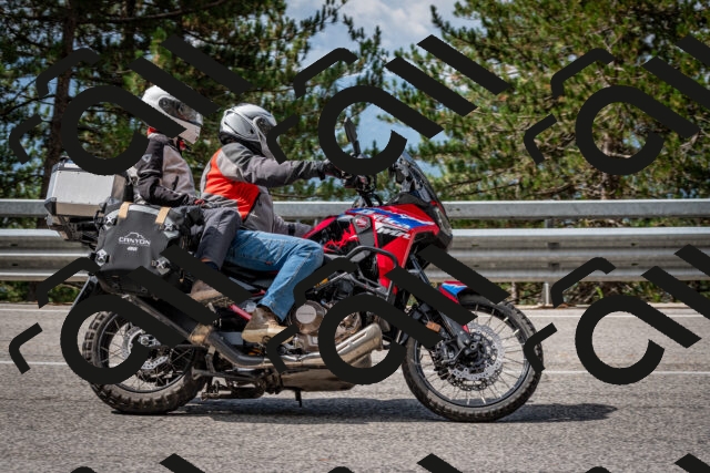 202508231051-DSC_6422_c2