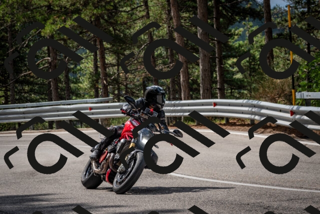 202508231052-DSC_6423_c2