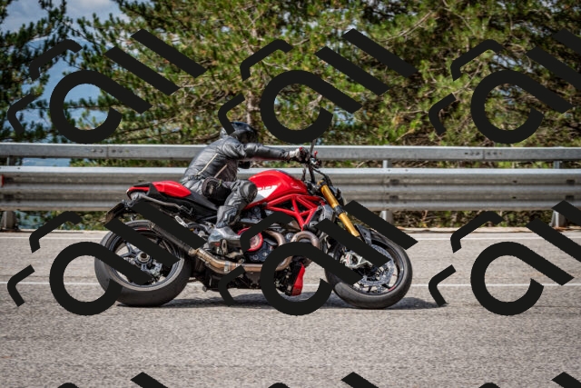 202508231052-DSC_6425_c2