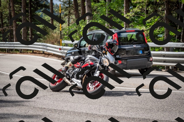 202508231052-DSC_6426_c2