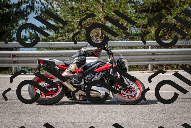 202508231052-DSC_6428_c2