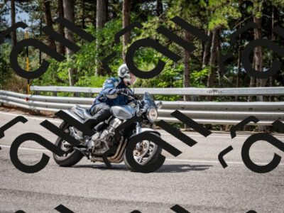 202508231054-DSC_6433_c2