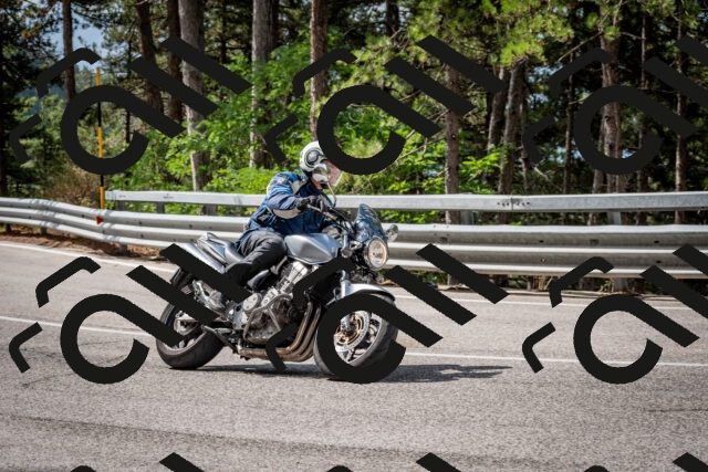 202508231054-DSC_6433_c2